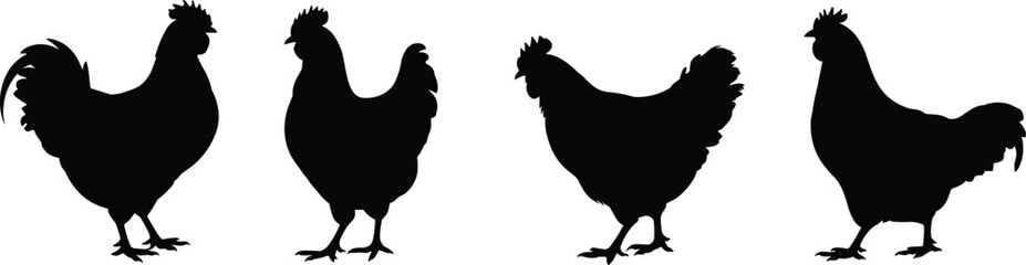 Chicken and rooster silhouette collection, farm poultry bird vector illustration, domestic animal shapes for agriculture, farming, rural lifestyle, and food industry design themes
