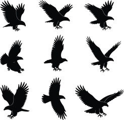Eagle silhouette vector illustration, flying hawk designs, black bird of prey clipart, majestic raptor artwork, hunting eagle graphic, wild predator wings spread, falcon silhouette art
