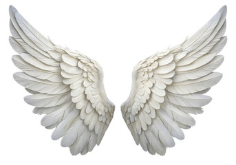 Obraz premium White angel wings isolated on black background symbolizing purity gracefulness and spiritual beauty