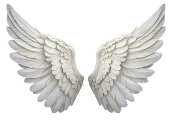 White angel wings isolated on black background symbolizing purity gracefulness and spiritual beauty