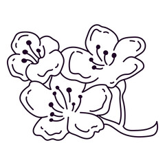 Stem with flowers stroke