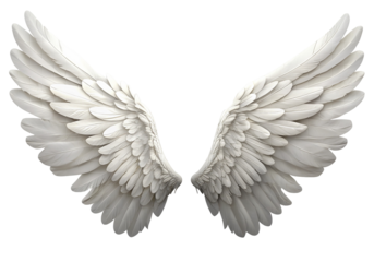 Majestic white angel wings spread wide on a dark background, symbolizing freedom and spirituality