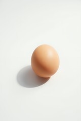 A single brown chicken egg casting a shadow on a plain white background.