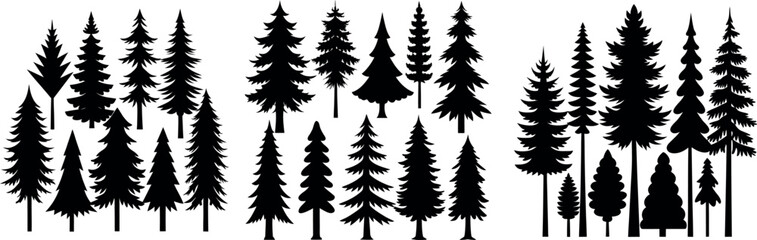 Silhouette of Evergreen Trees Set on White Background,Pine fir tree tall tree isolated premium vector image, black and white tree silhouettes,coniferous trees, pine trees,fir trees silhouettes set,Ai
