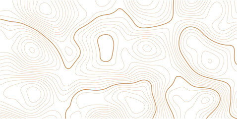 Topographic map background geographic line map. Modern Wavy white topography abstracted on a white backdrop. cartography topographic map. 