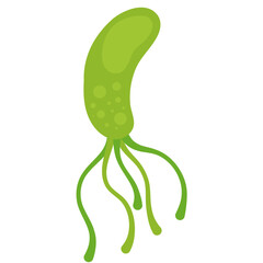 Microscopic bacterial illustration with flagella and cilia, representing cellular biology and scientific research