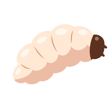 Illustration of a creamy white grub with a brown head, isolated on a white background.