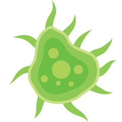 Stylized illustration of a vibrant green microscopic organism, depicting a generic germ, virus, or bacterium, perfect for health, medical, and biology-related concepts.