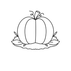 A pumpkin is drawn in black and white