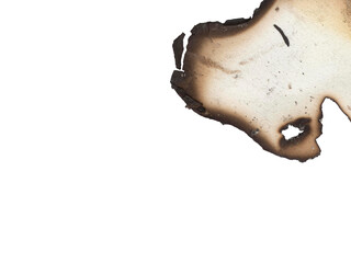 Intriguing burned paper texture, a creative element for vintage designs and distressed effects delivering a unique aged aesthetic