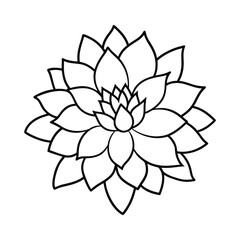 Fototapeta premium Dahlia flower in full bloom decorative botanical floral elegant line artwork Line Art Vector illustration