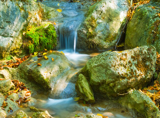 small waterfall on mountain river flow through canyon covered by red dry leaves