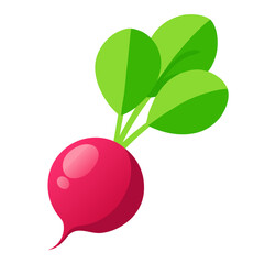 vector illustration of an apple