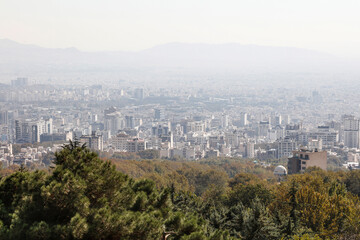 City view and green trees. Polluted urban air . 