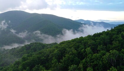 Fototapeta premium Misty Mountain Landscape: Serene Valley View