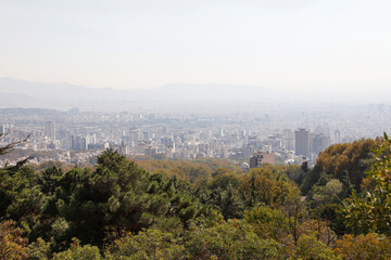 City view and green trees. Polluted urban air . 
