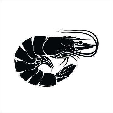 Black silhouette of a shrimp isolated on white background, showcasing its segmented body and antennae
