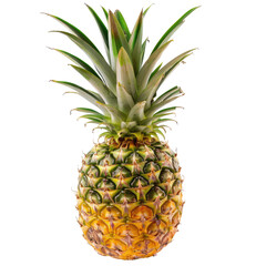 Fototapeta premium Pineapple still life, studio shot against a neutral backdrop