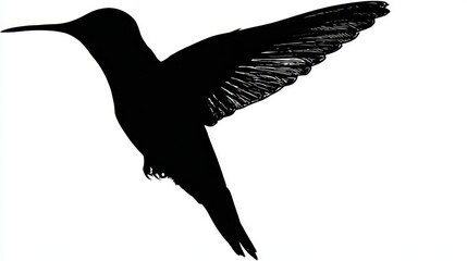 Obraz premium Silhouette of a hummingbird in flight.