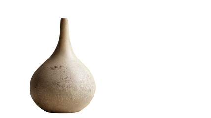 modern ceramic vase with dry flowers, isolated on white background png 