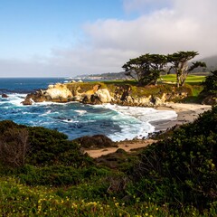 Coastal view with rocks, beach, and trees