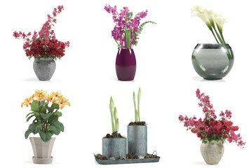 Variety of floral arrangements in stylish vases