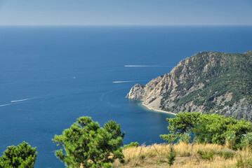 High-angle view of a rugged, green coastal cliff and turquoise bay along the Cinque Terre coast.