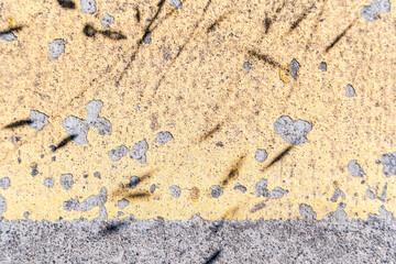 Concrete sidewalk background with shadows of the plant