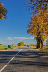 Obraz premium Autumn landscape, road and highway, asphalt and roadside.