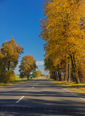 Autumn landscape, road and highway, asphalt and roadside.