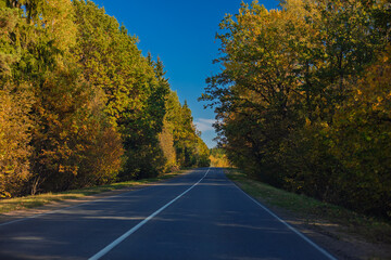 Naklejka premium Autumn landscape and sunny evening, orange road and highway, asphalt and roadside.