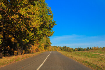 Fototapeta premium Autumn landscape and sunny evening, orange road and highway, asphalt and roadside.
