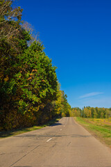 Autumn landscape and sunny evening, orange road and highway, asphalt and roadside.