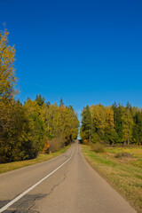 Autumn landscape and sunny evening, orange road and highway, asphalt and roadside.
