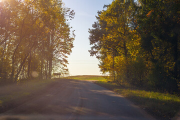 Autumn landscape and sunny evening, orange road and highway, asphalt and roadside.