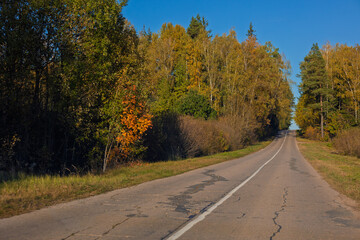 Autumn landscape and sunny evening, orange road and highway, asphalt and roadside.