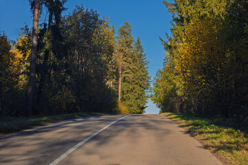 Obraz premium Autumn landscape and sunny evening, orange road and highway, asphalt and roadside.