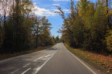 Autumn landscape and sunny evening, orange road and highway, asphalt and roadside.
