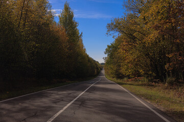 Fototapeta premium Autumn landscape and sunny evening, orange road and highway, asphalt and roadside.