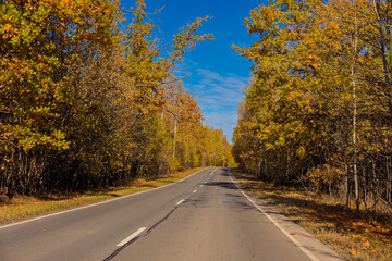 Autumn landscape and sunny evening, orange road and highway, asphalt and roadside.