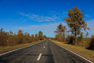 Fototapeta premium Autumn landscape, road and highway, asphalt and roadside.