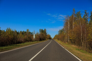 Autumn landscape and sunny evening, orange road and highway, asphalt and roadside.
