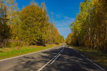Fototapeta premium Autumn landscape and sunny evening, orange road and highway, asphalt and roadside.