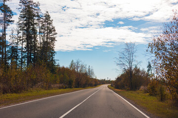 Fototapeta premium Autumn landscape and sunny evening, orange road and highway, asphalt and roadside.