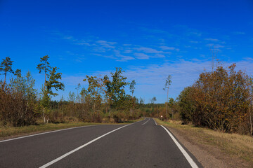 Fototapeta premium Autumn landscape, road and highway, asphalt and roadside.