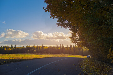 Autumn landscape and sunny evening, orange road and highway, asphalt and roadside.