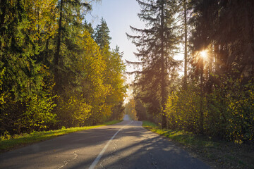 Autumn landscape and sunny evening, orange road and highway, asphalt and roadside.
