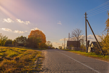 Autumn landscape and sunny evening, orange road and highway, asphalt and roadside.