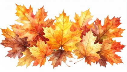 Watercolor Maple Leaves in Autumn Colors on White Background Illustration
