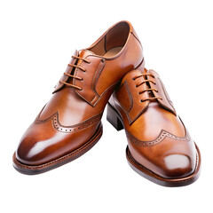 pair of brown leather shoes